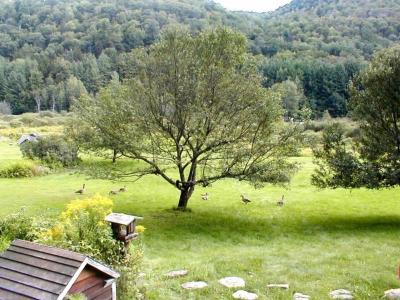 Mountain Valley Retreat キリングトン エクステリア 写真